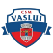 CSMVaslui